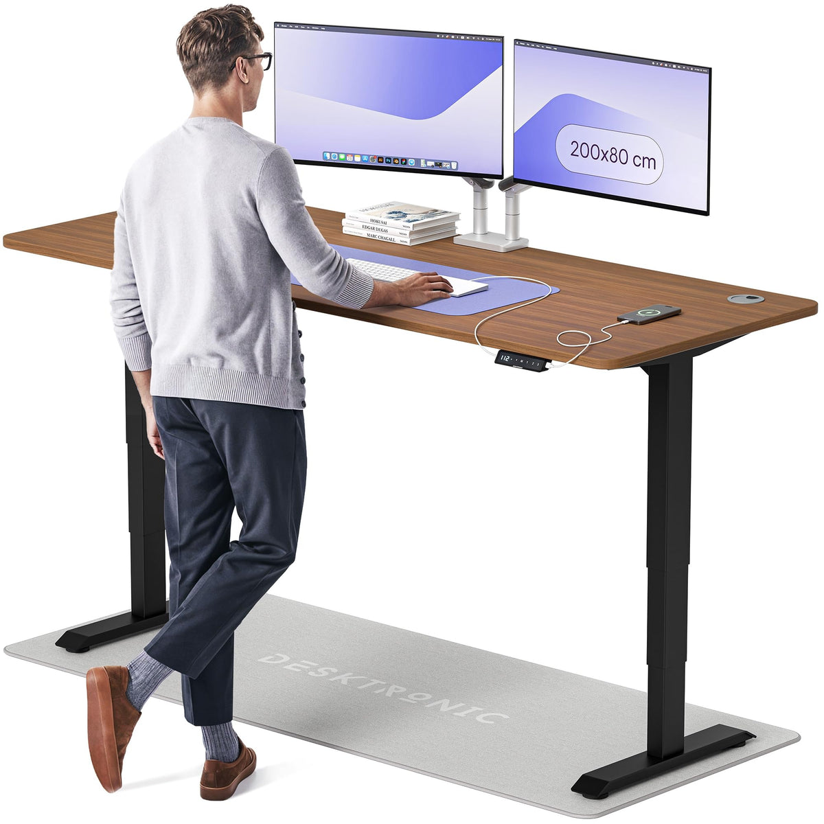 Desktronic HomePro Schreibtisch elektrisch höhenverstellbar, Steh-Sitz Schreibtisch mit Dual Motor, Touchscreen & USB-A/USB-C – 3. Grau + Grau, 160 x 80 cm