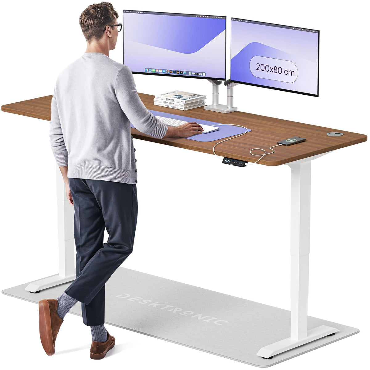 Desktronic HomePro Schreibtisch elektrisch höhenverstellbar, Steh-Sitz Schreibtisch mit Dual Motor, Touchscreen & USB-A/USB-C – 2.2 Schwarz + Grau, 120 x 60 cm