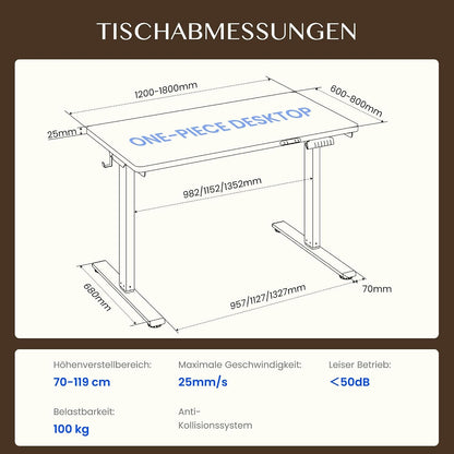 FLEXISPOT Höhenverstellbarer Schreibtisch elektrisch, Doppelmotor 160x80 cm